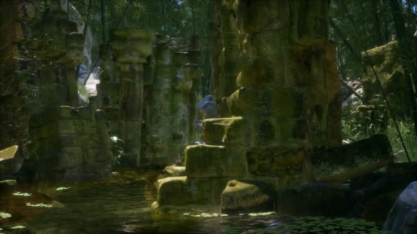 Ruined Ancient Stone House Overgrown with Plants and Ferns in Dense Green Forest alt