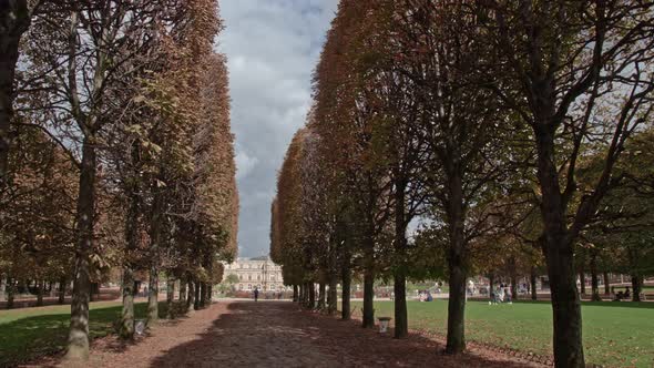 Timelapse of visiting Luxembourg Gardens Tree lined promenade and Palace, Paris alt