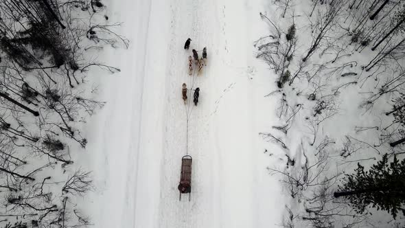 Drone Aerial View of Dogsledding Handler with Team of Trained Husky Dogs Mountain Pass Husky Dog alt