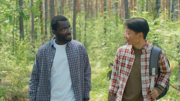 Man And Woman Walking Along Forest alt