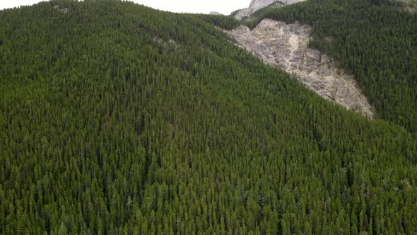 Kananaskis Mountain range in the canadian Rockies. Drone aerial clip of the incredible woods of Cana alt