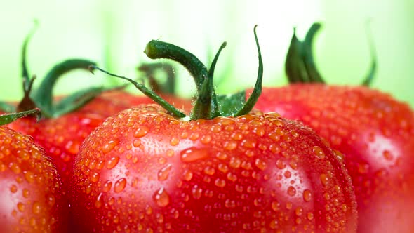 Lots Of Ripe Tomatoes