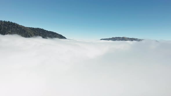 Bird's eye aerial view of the mountain peaks with forest protruding from cloud in California, USA alt
