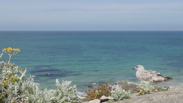 Northern France city of Saint-Malo Brittany scenery by the ocean 4K 2160p 30fps UltraHD tilting foot alt