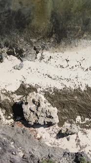 Vertical Video Empty Beach on Zanzibar Island Tanzania alt