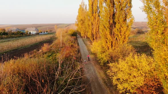 Dad and Daughter on Bicycles Aerial View