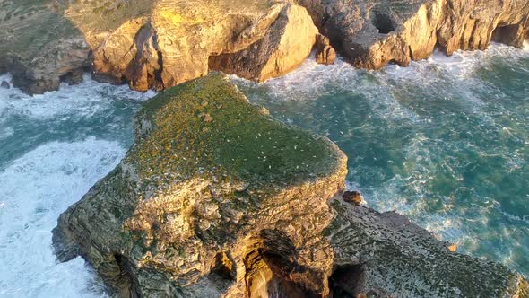Flying Over Flat Rock By the Algarve Coast, Portugal. Countless Seagulls Flying Around the Rock alt