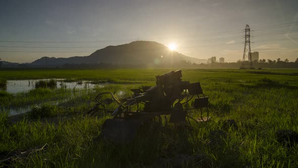 Timelapse view sunrise morning at rice field. alt