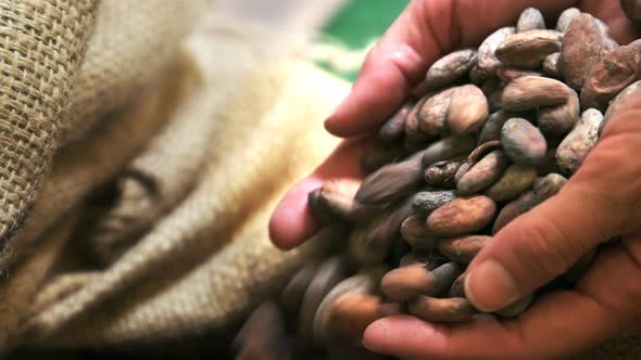 woman tipping cacao beans into a bag in cusco alt