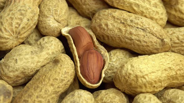 Ground Peanuts Rotate As Background Peanuts in Shells Ground Nuts alt