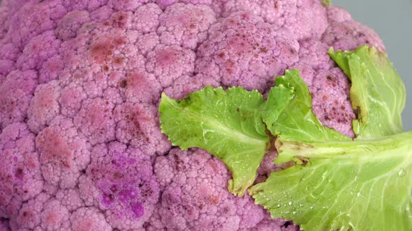 Purple Head of Cauliflower Cabbage Closeup alt