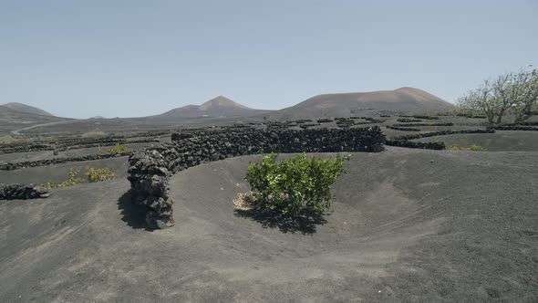 Panoramic Lanzarote Scene with La Geria Vineyards, Canary Islands
