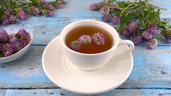 Brewing a tisanes from red clover in a white cup. Composition on vintage light blue wooden tabletop  alt