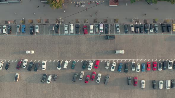 Traffic Shot in the Area alt