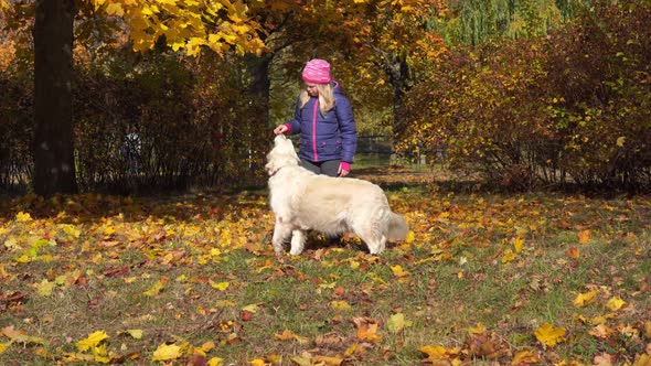 Happy Little Girl Is Having Fun Playing in the Autumn Park with a Big Dog
