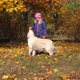 Happy Little Girl Is Having Fun Playing in the Autumn Park with a Big Dog - VideoHive Item for Sale
