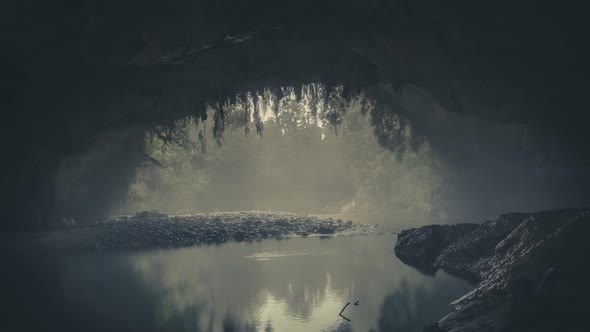 Cave entrance timelapse alt