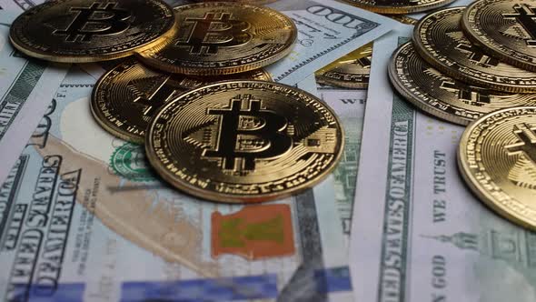 American Dollars and Bitcoins 16 alt