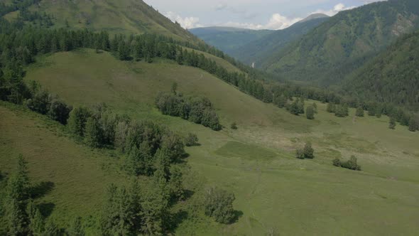 Mountains and green forest in Altai