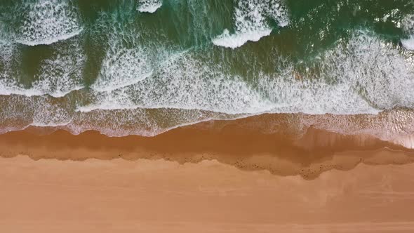 Aerial view of beautiful beach alt
