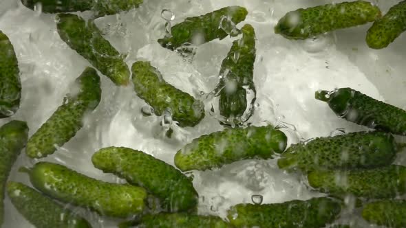 Sweet fresh gherkins are poured with water, preparation for pickling.