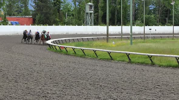 Horse Race Jockeys at Track