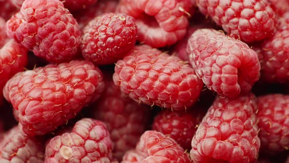 Juicy Red Raspberries Spin on White Background alt