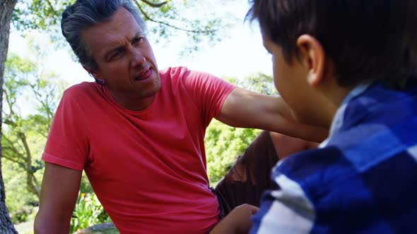Father consoling his son at picnic in park 4k alt