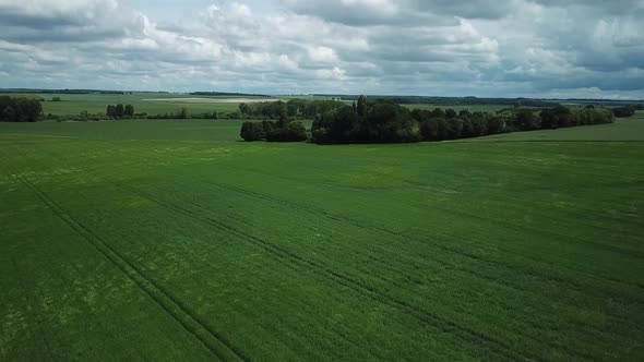 Aerial shot above a green field 4K