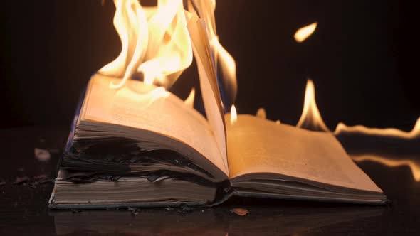 An Open Book is on Fire alt