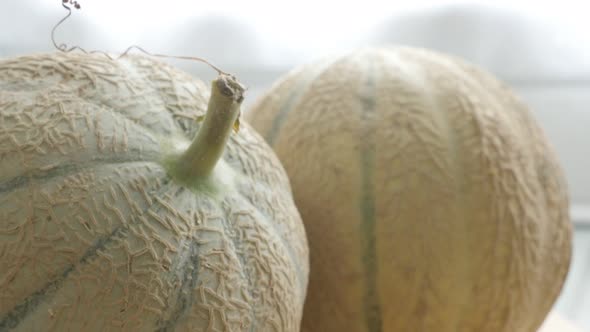 Fresh melons concept  food background  tilting 4K 2160p 30fps UltraHD footage - Slow tilt on  Cucurb alt