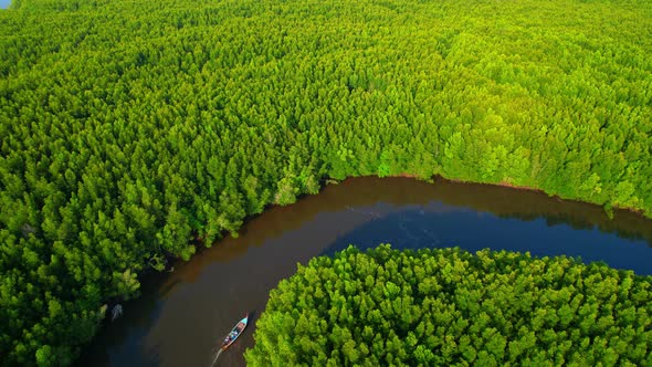 Top view of winding river in tropical mangrove green tree forest in khao jom pa alt