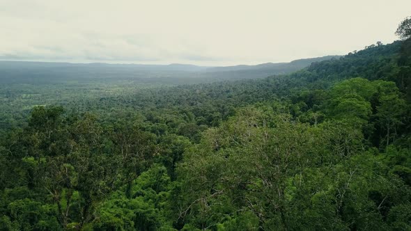 Aerial View of Forest in Asia 4K