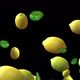 Lemons And Mint - VideoHive Item for Sale