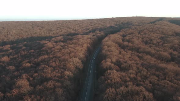 4k Drone Shot Over Forest In Fall And Cars Passing By The Road