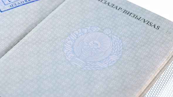 Put a Stamp in the Passport: Europe Visa, Approved alt