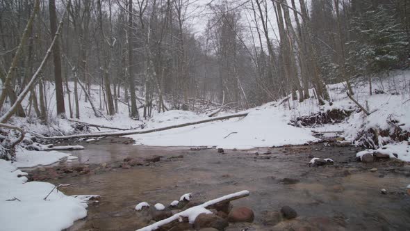 Shallow Running River in Winter Land in a Forest