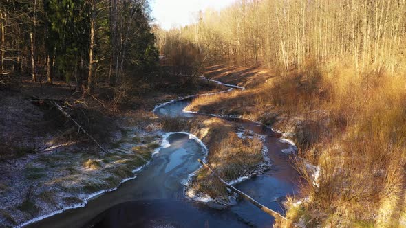 Bend of the River in the Forest