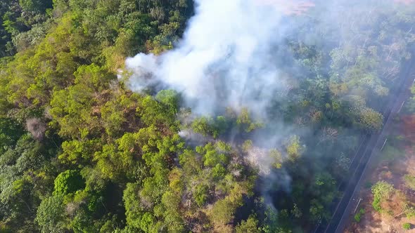 Aerial view of a smoking forest fire, near a road, in rainforests of Africa - tilt up, drone shot alt
