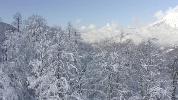 Amazing View From Drone on Winter City in Mountain Valley