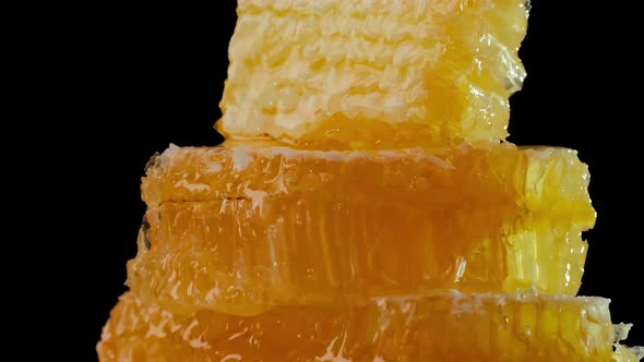 The Honeycombs with Fresh Honey