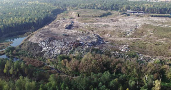 Birds are Crows Flying Over a Waste Dump in the Forest alt