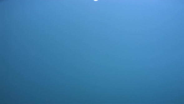 Slow-motion drop hitting water shooting with high speed camera, phantom gold. alt