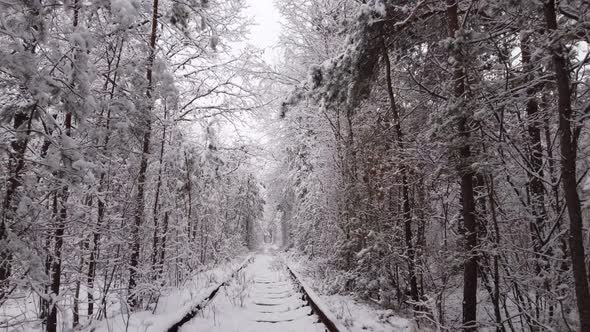 4k. Aerial view on winter Natural Tunnel of Love with Railway Road. Klevan, Ukraine. 