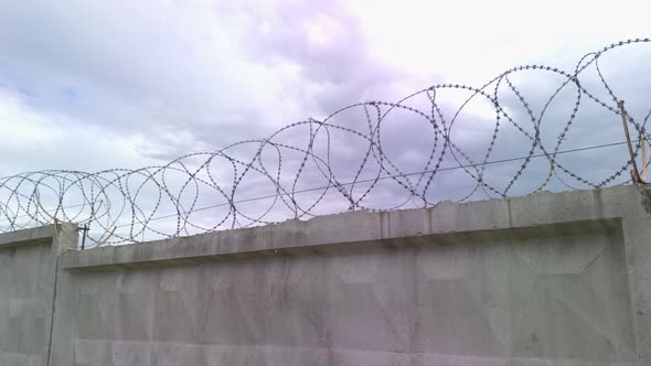 Barbed Wire Fence alt