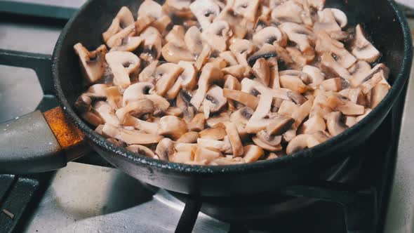 Mushrooms Are Fried in a Pan in the Home Kitchen Cooking Mushrooms Julienne alt