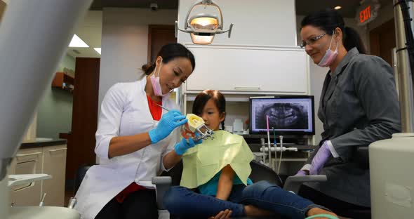 Female dentist explaining about teeth model 4k alt