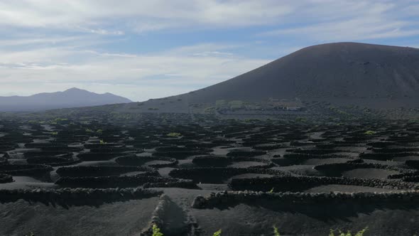 Lanzatore -running on barren and desolate land with vine cultivation alt