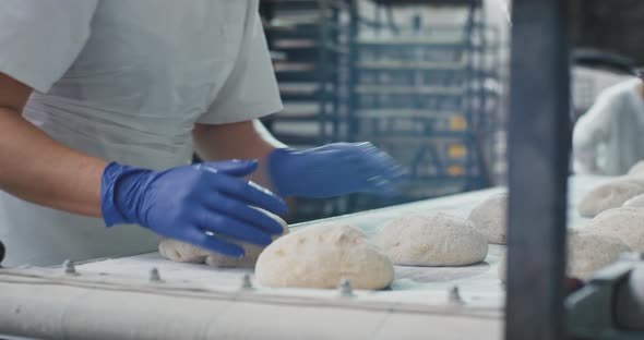 Bakery Industry Professional Baker Take the Raw