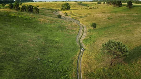 Car Driving Rural Road in Green Meadow